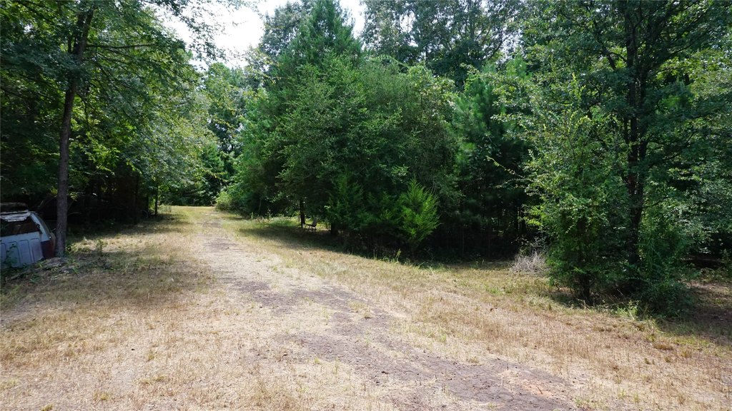 Picture 8