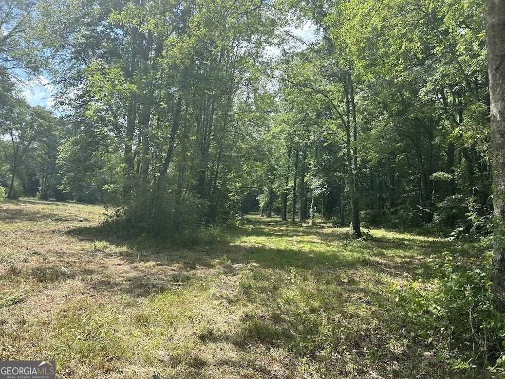 Picture 46
