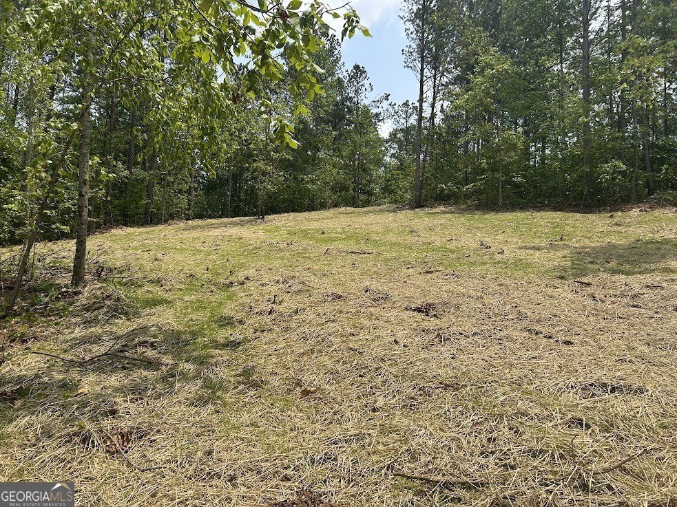 Picture 21