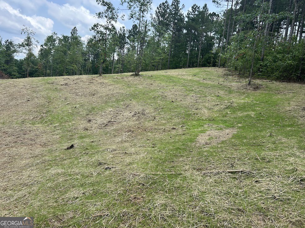 Picture 29