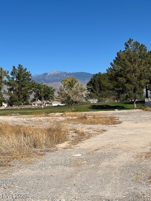 Picture 6