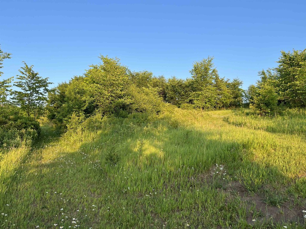 Picture 24