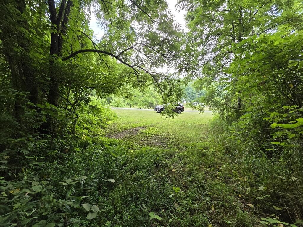 Picture 45