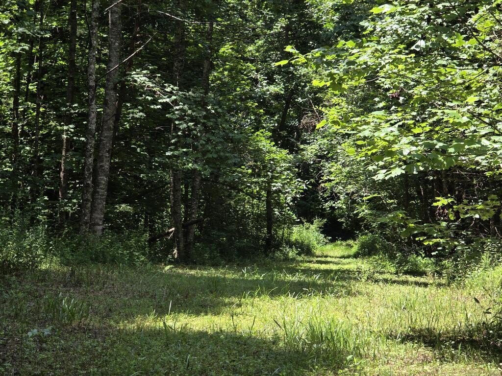 Picture 23