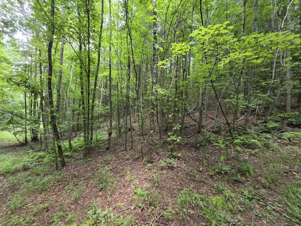 Picture 16