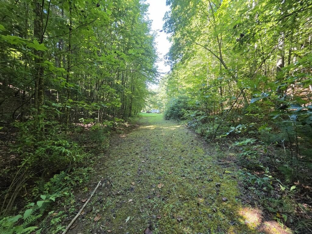 Picture 5
