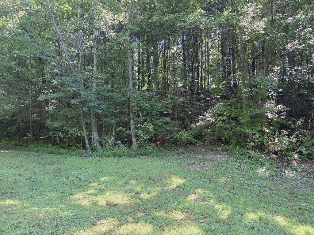 Picture 28