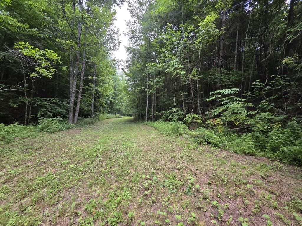 Picture 12