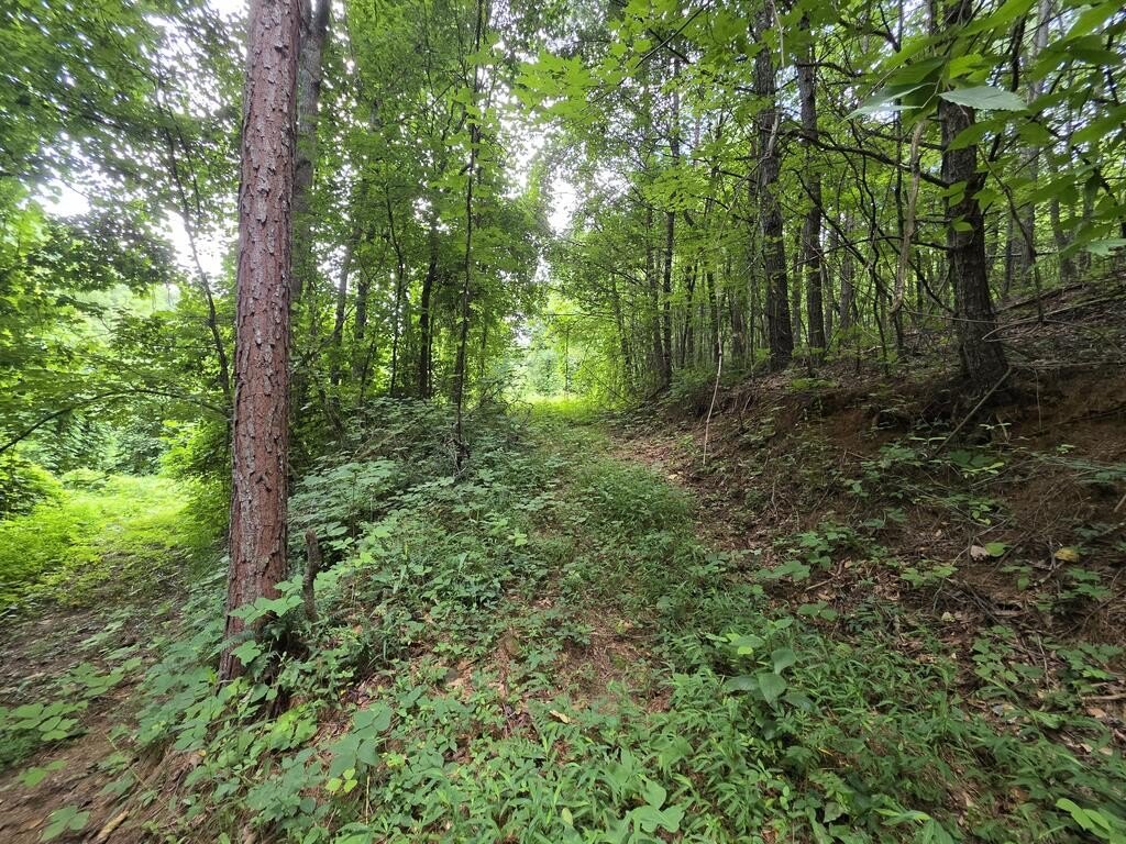 Picture 7