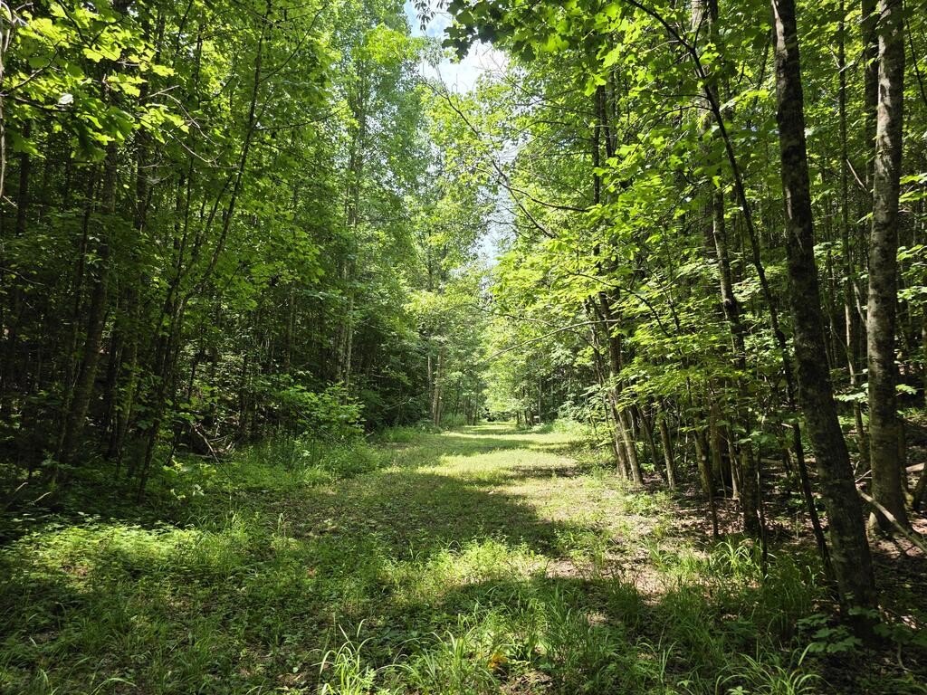 Picture 22