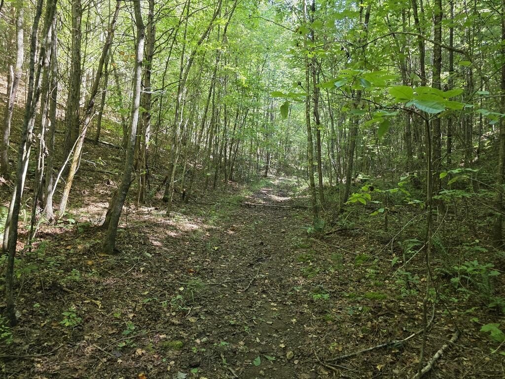 Picture 41