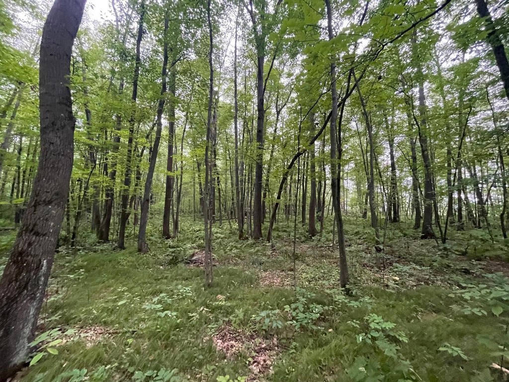 Picture 26