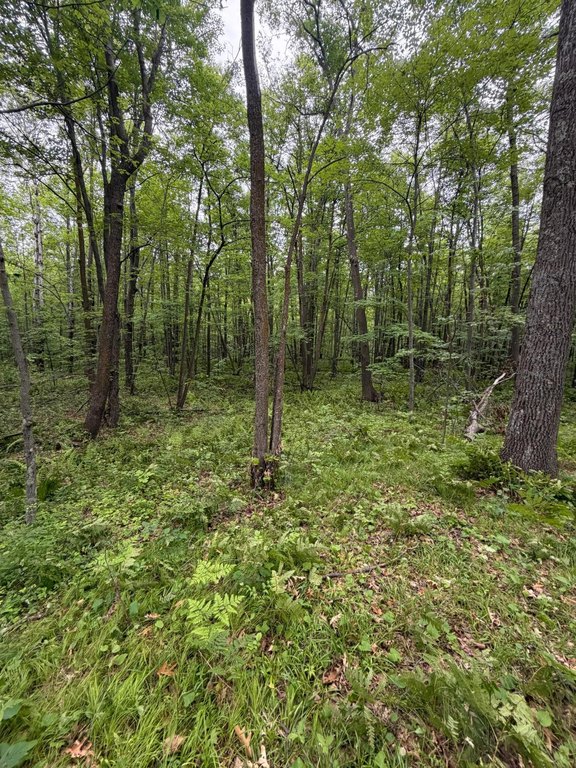 Picture 13