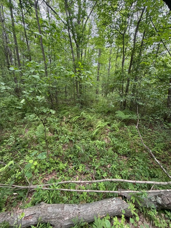 Picture 10