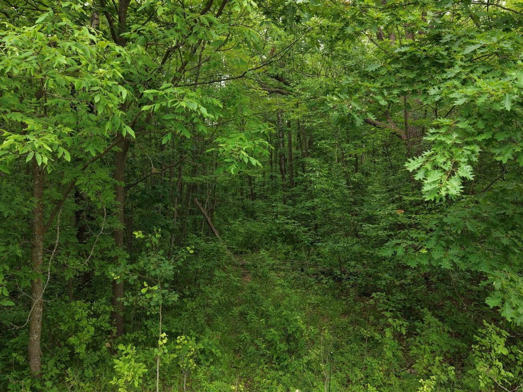 Picture 9