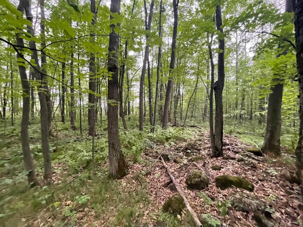 Picture 25