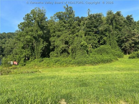 Land, Chapmanville, WV