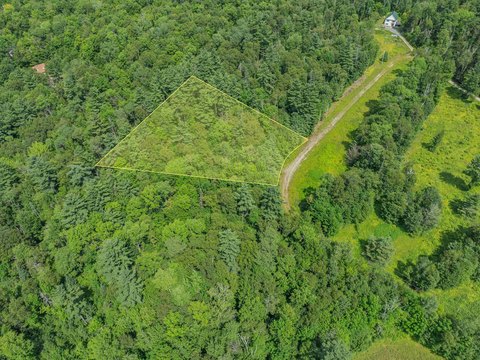 Wooded HOA Home Lot