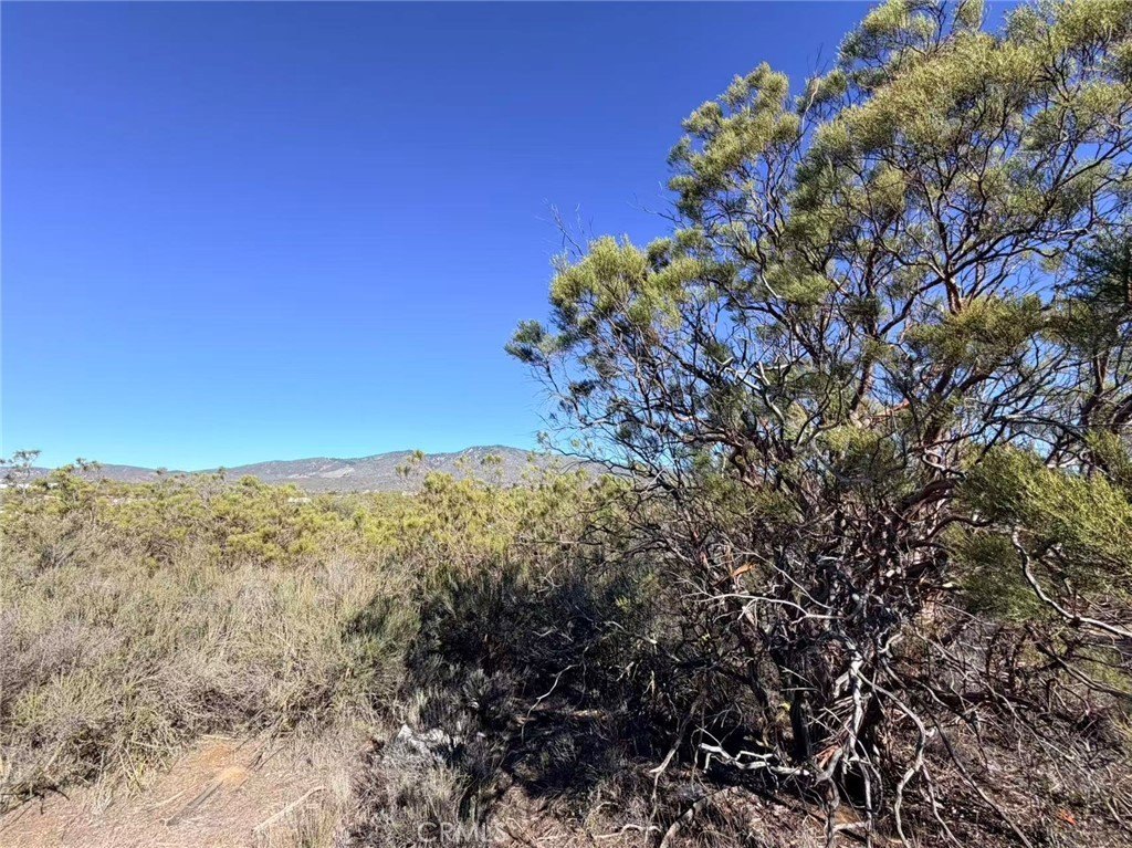 Anza Vacant Land Opportunity