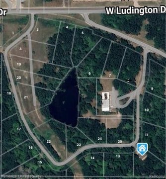 LAND - Surrey Twp, MI