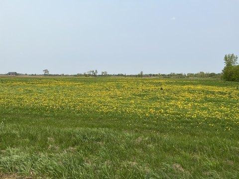 Agricultural Land Parcel with Creek