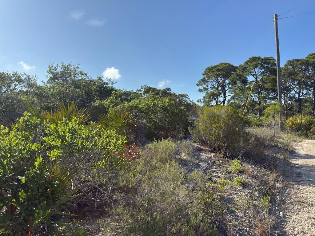 Cape San Blas Land Parcel