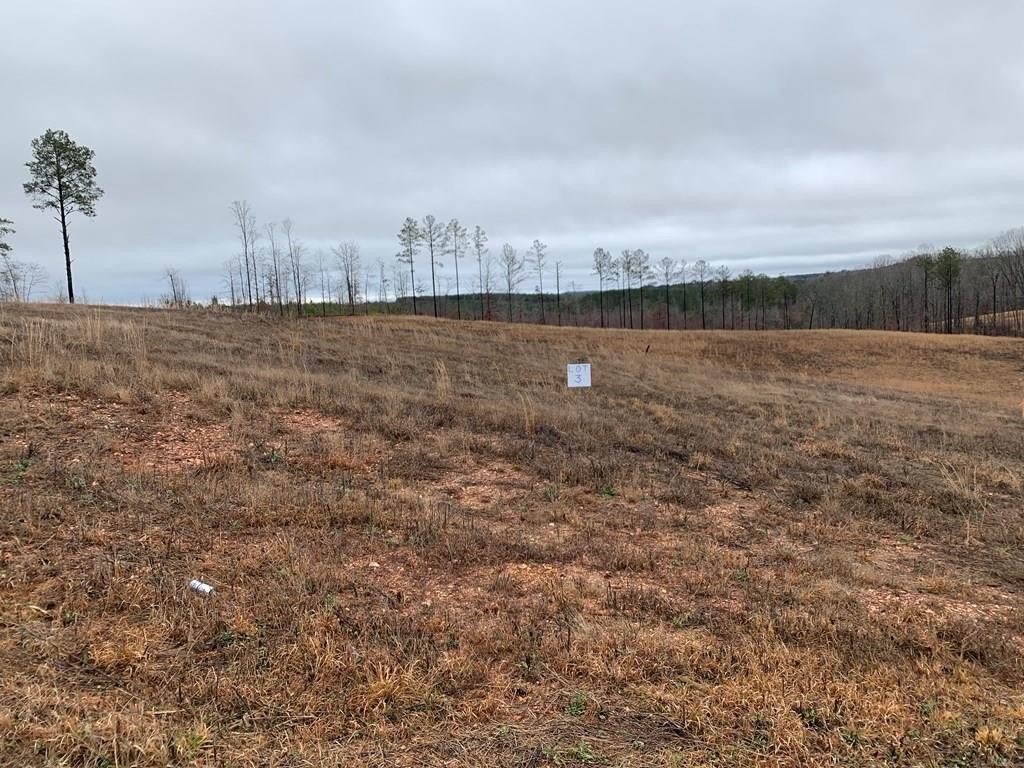 Heflin, AL Building Lot