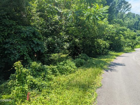 Gatlinburg Land with Creek