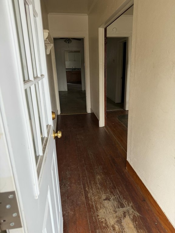 Picture 17