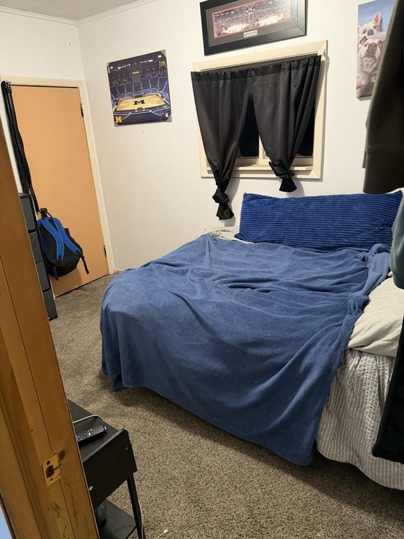 Picture 13
