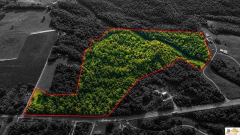 Dual-Frontage Kentucky Woodland Tract