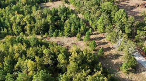 Scenic Acreage in Taylor, Mississippi