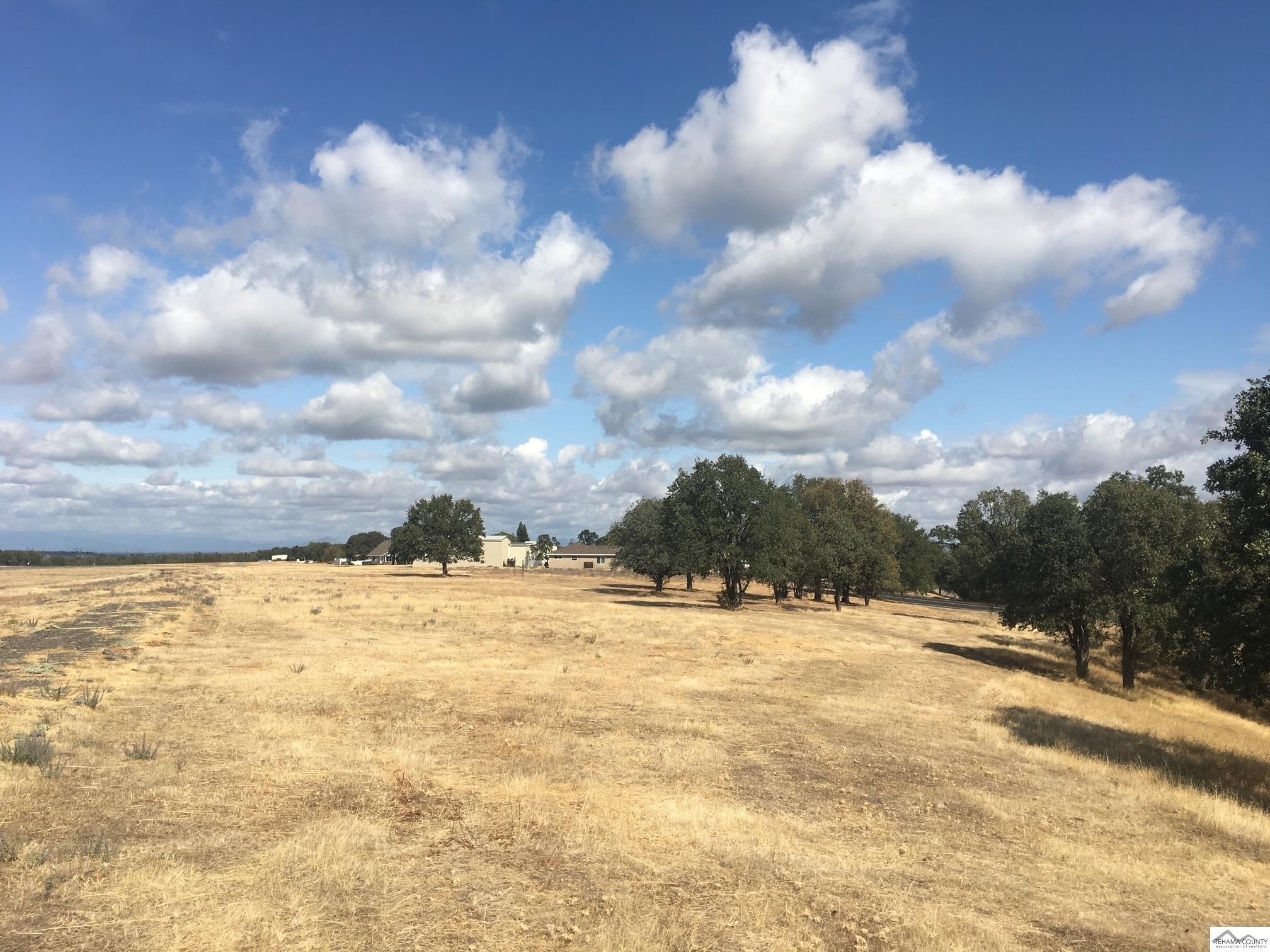 Cottonwood Land with Runway Access