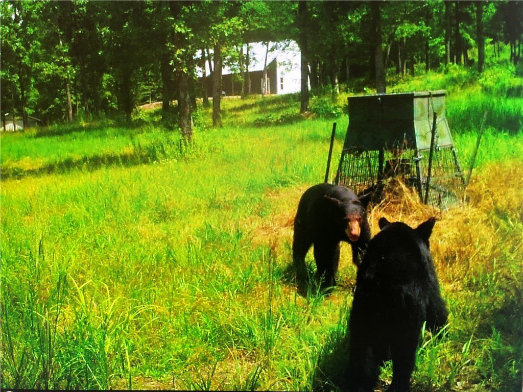 Picture 33