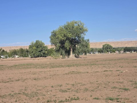 Agricultural Land with Farm Setting
