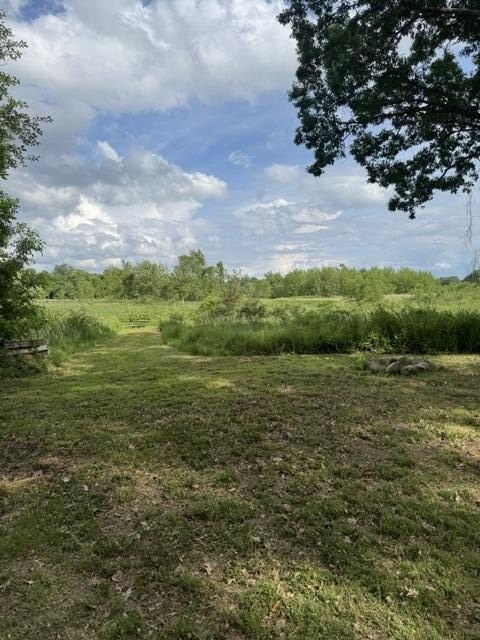 Picture 23