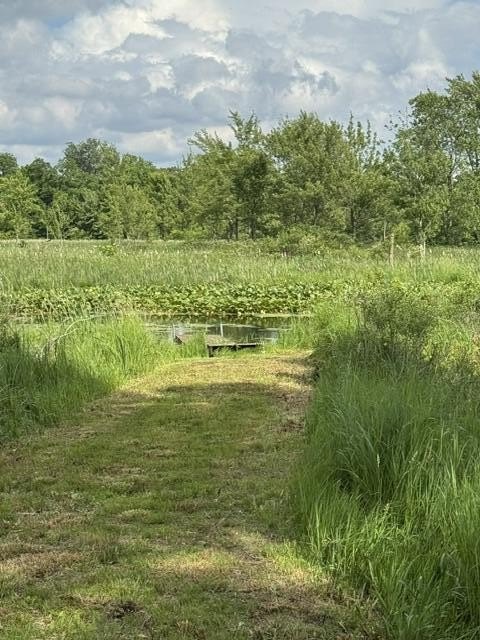 Picture 2