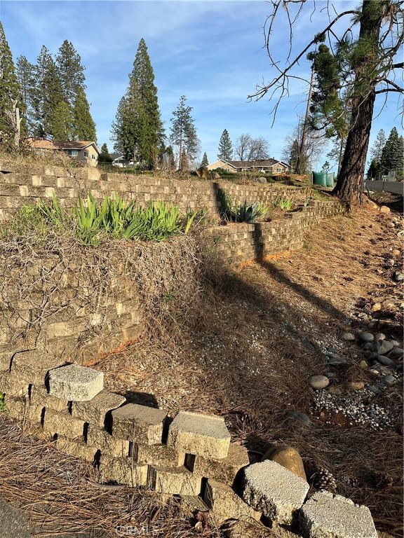Picture 15