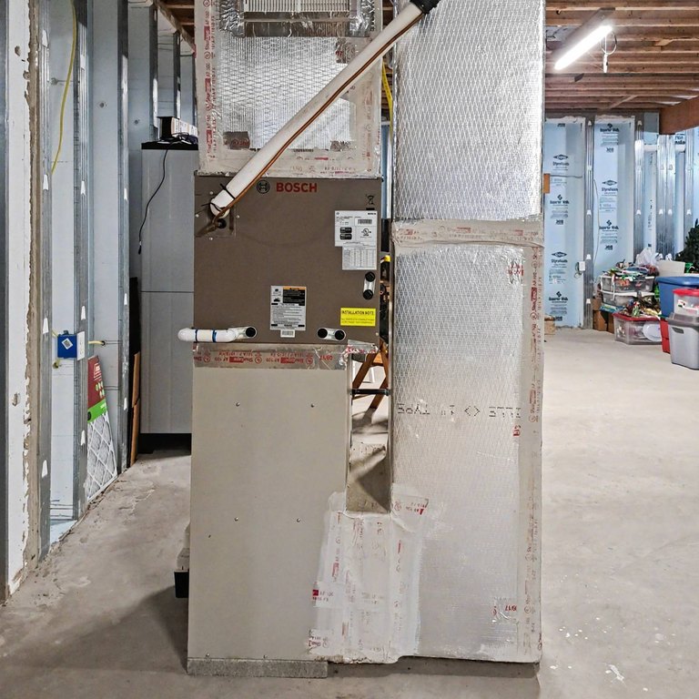 Picture 41
