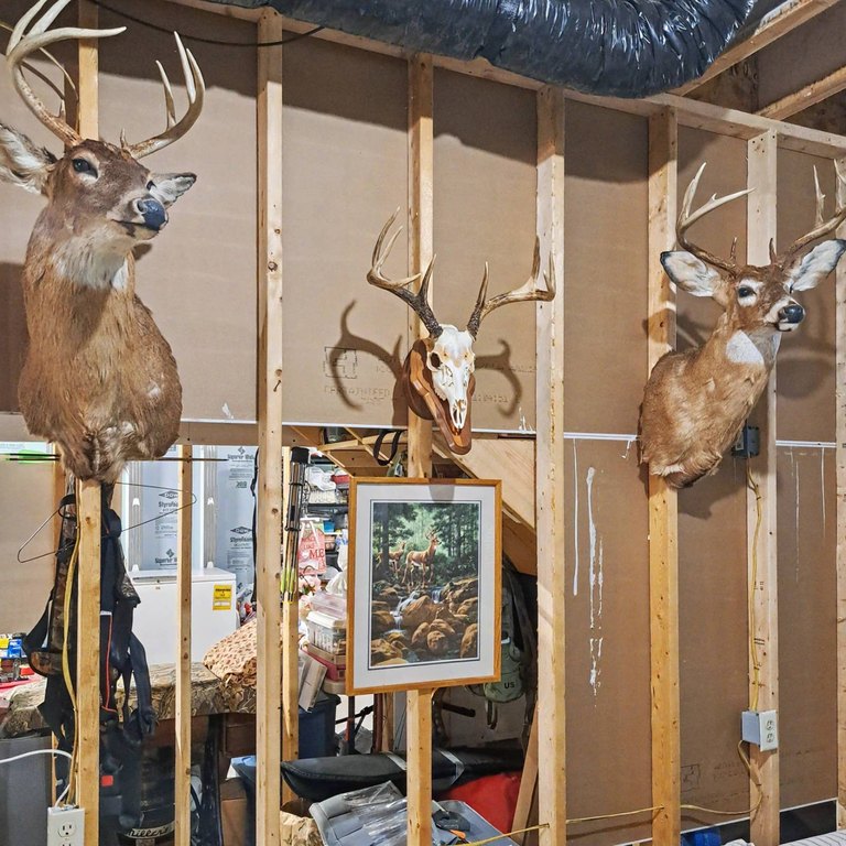 Picture 45
