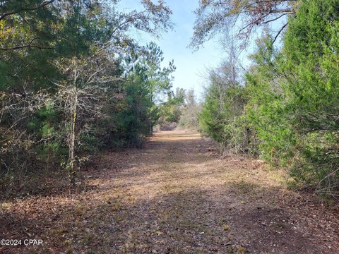 Altha, FL Land for Sale