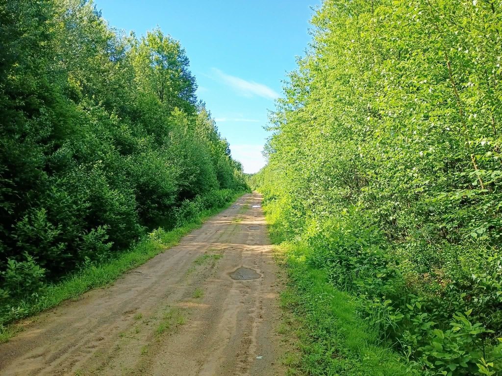 Picture 27