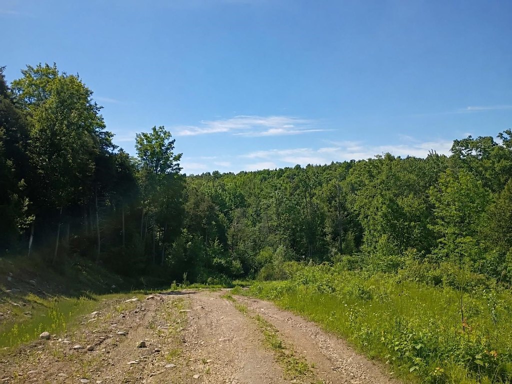 Picture 18
