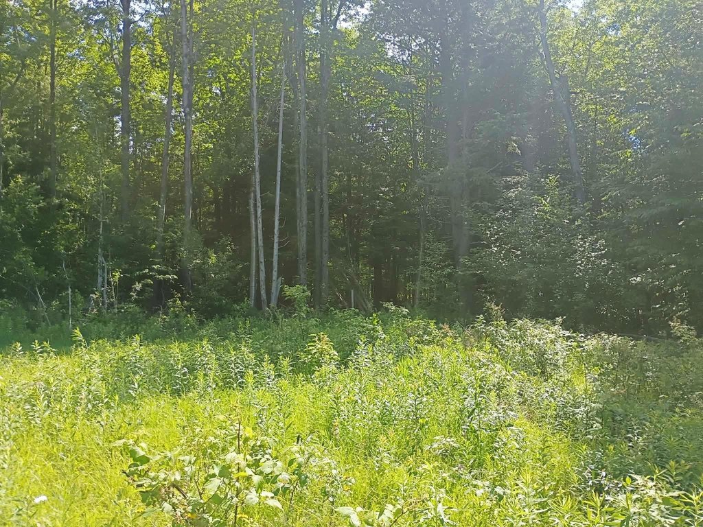 Picture 21