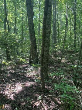 Sky Valley Wooded Lot