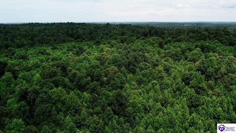 Partially Wooded Hunting Tract