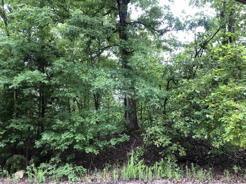 Wooded Lot in Cherokee Village