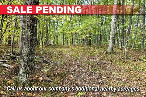 Wooded Land Near Recreational Amenities