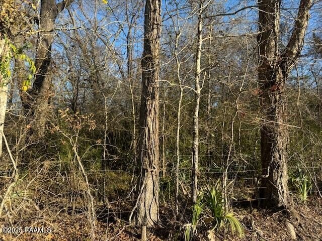 28 Acres of Unrestricted Land