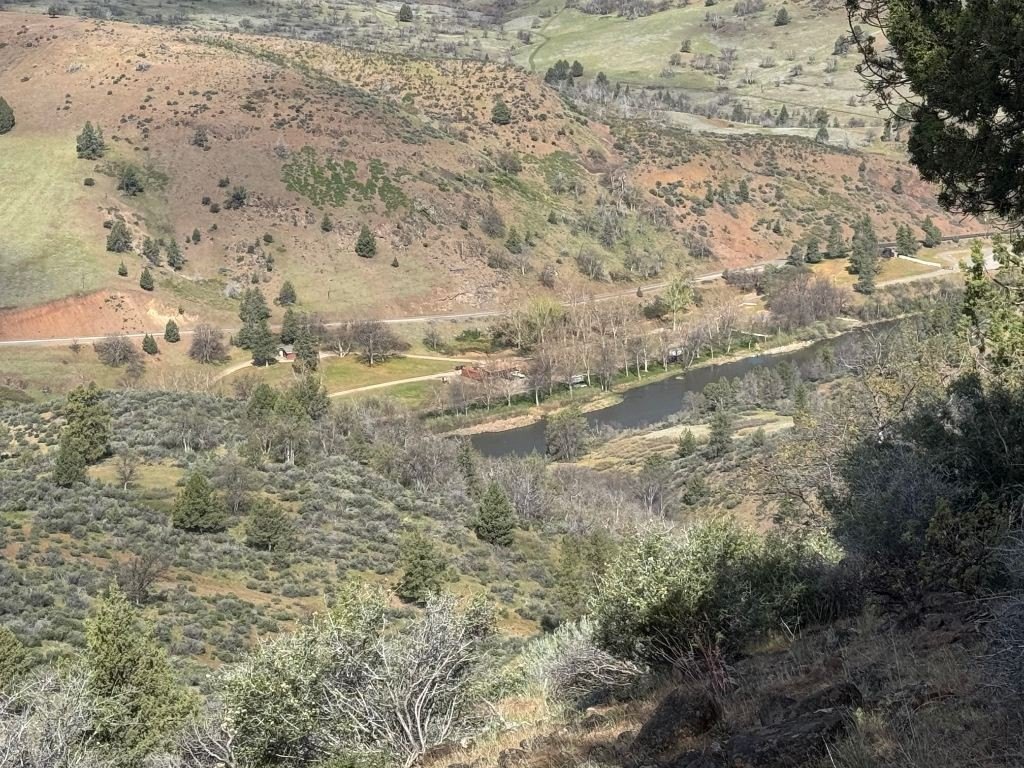 Picture 14